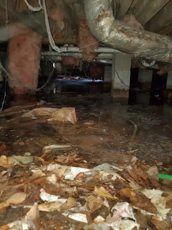 Crawl space flood assessment for Leak Detection & Repair in Hebron